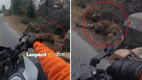 A biker in Chamba encountered a leopard on a mountain road, and the viral video has stunned social media users.