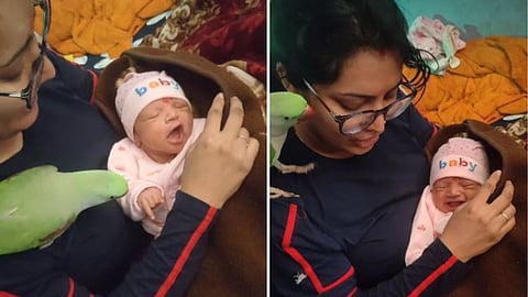 A pet parrot comforting a crying baby wins hearts online.