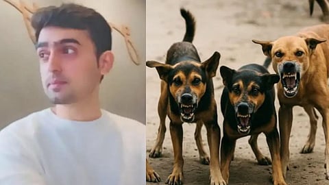 Viswanath Amin Suicide Rabies Fear Kalyan