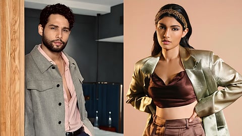 Salman Khan Niece Alizeh Agnihotri Siddhant Chaturvedi New Film