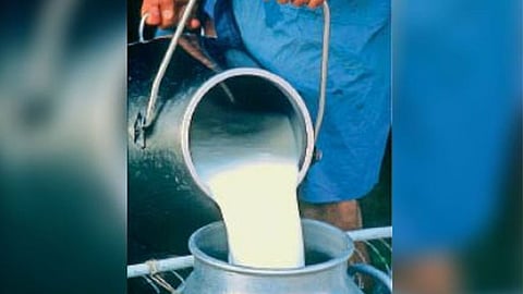 Good news for livestock farmers: IBF technology will transform the dairy sector in Bhandara, with subsidies of up to 75%.