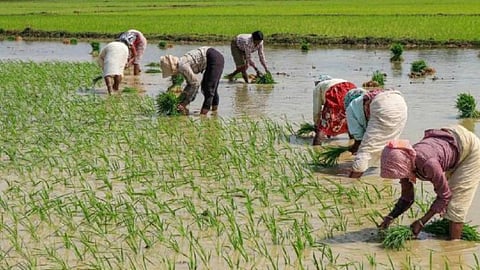 Major boost for Chandrapur farmers! APMCs with 80k+ ton turnover to get National Market status. Direct trade via e-NAM to eliminate middlemen.