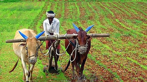 Nagbhid Agriculture News