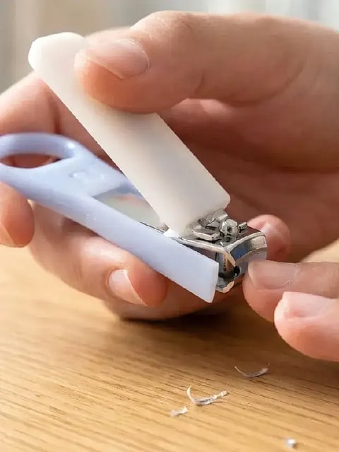 nail cutter facts