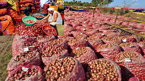Farmers in Nashik begin indefinite hunger strike, onions are selling for Rs 8 per kg.