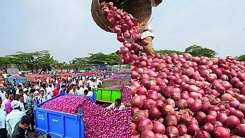 Onion prices plummet in January: Farmers suffer losses of ₹269 crore, appeal to the government for relief