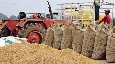 Bhandara paddy procurement crisis