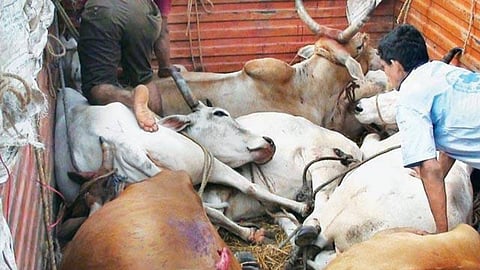 Chandrapur News (1)