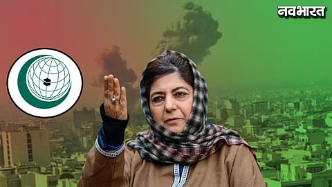 PDP President Slam OIC