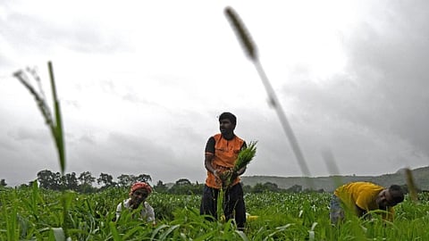 Maharashtra Unseasonal Rain Alert
