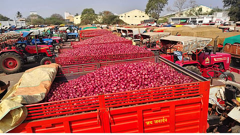 प्याज निर्यात ठप , West Asia war, Maharashtra agri export