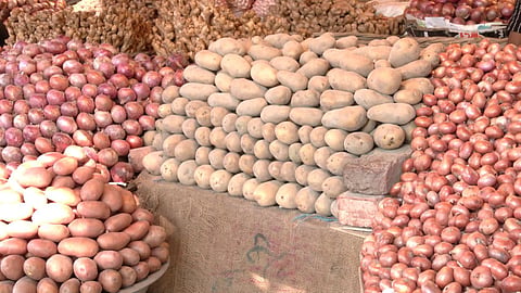 Onion Potato Supply