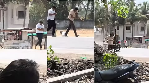 मधुमक्खियों का हमला, महाराष्ट्र न्यूज, Solapur bee attack