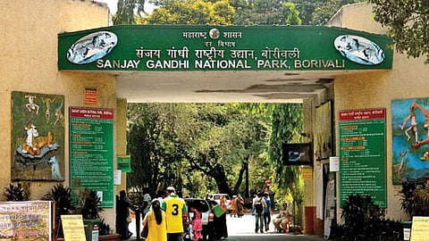 Sanjay Gandhi National Park