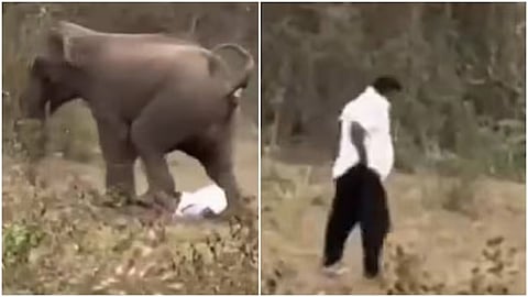 A man in Odisha survived being trampled by an elephant, and the intense video has gone viral.