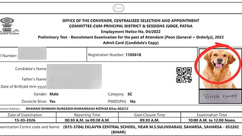 Admit card shows dog's photo, recruitment exam for government job; bizarre case emerges from Bihar