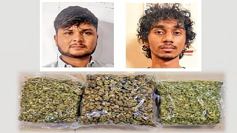 Sambhaji Nagar: Police Crackdown on Drug Trafficking Network; 285 Grams of Foreign 'Hydro Ganja' Seized; Several Accused Arrested