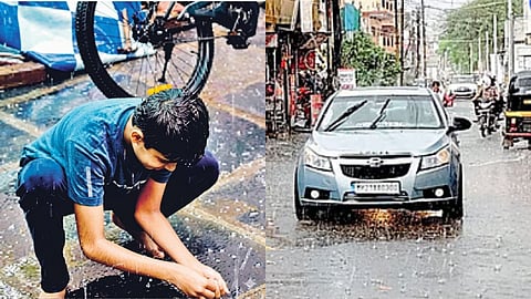 Hailstorm Causes Heavy Damage to Crops in Jalna; Farmers Demand Survey of Affected Areas and Compensation