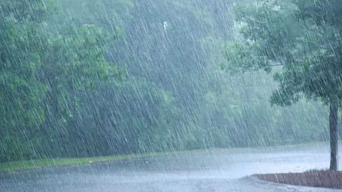 Unseasonal rain and strong winds hit Katol, Savner, and Ramtek. Over 41 hectares of wheat crops damaged. Farmers worry about crop quality and production loss.