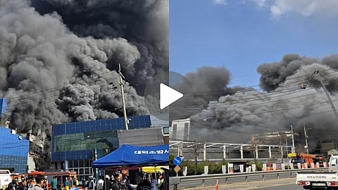 Factory Housed 200 kg of Sodium; Massive Fire Erupts—10 Workers Burned Alive in South Korea | Watch the Horrifying Video