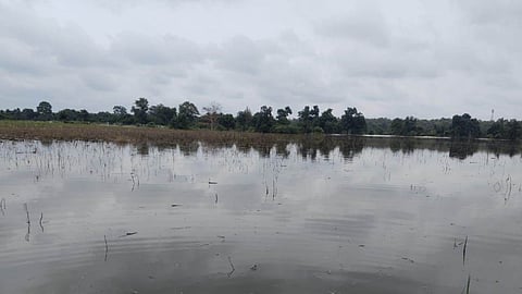 Records of Dham Irrigation Project missing in Wardha. Farmers of Masod & Khairwara suffer as land submerges after height increase. No compensation yet.