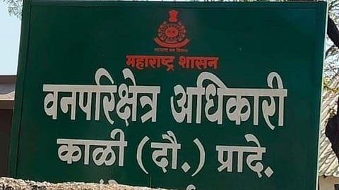 Five days after the brutal killing of a Nilgai in Kali (Dou.) forest range, accused remain at large. Allegations of corruption and illegal mining surface against forest officials.