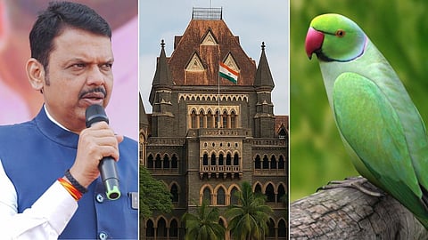 Bombay High Court Verdict Parrot Crop Damage