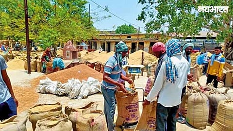 Nafed portal closure halted chana procurement at Warora Mandi, sparking farmer protests. Rajendra Chikte urged the government to reopen the portal and extend limits.
