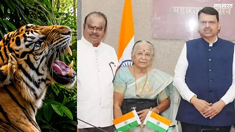 25,000 students in Chandrapur signed a petition to the CM over rising tiger attacks. They demanded safety and urged the government to resume local development projects.