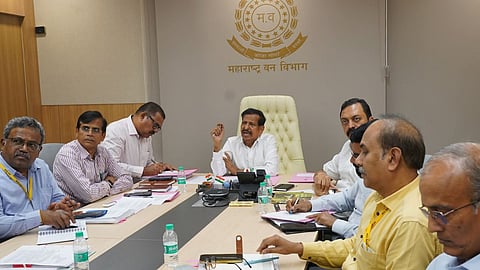 mira-bhayandar-drain-cleaning-mangrove-permission-meeting