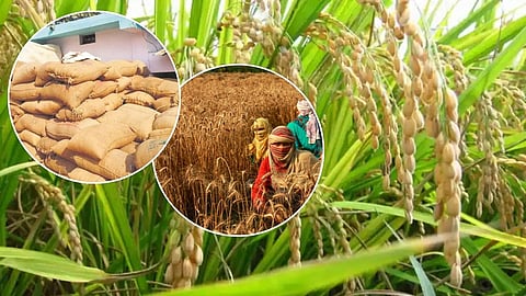 Gondia Agriculture Dept plans kharif sowing for 2.05 lakh hectares. With 76,907 MT fertilizer approved, 9 flying squads will monitor and curb the sale of fake seeds.