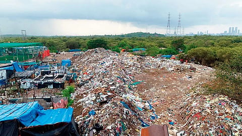 Kanjurmarg Dumping Ground Pollution