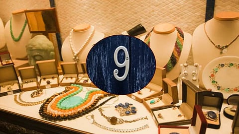 Number 9 People Nature And Behavior