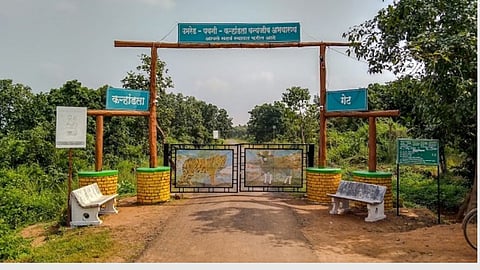 pawni Ngate umred karhandla wildlife sanctuary foreign tourists tiger sighting hotspot
