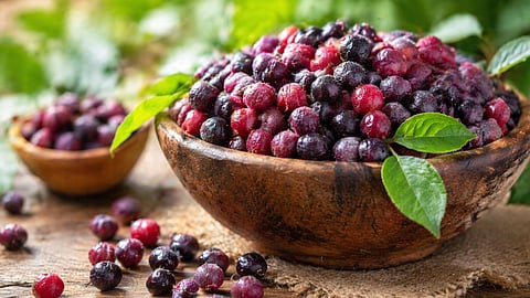 Phalsa Fruit Health Benefits