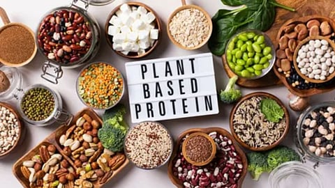 High Protein Vegetarian Diet