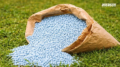 Pune Agriculture Dept ensures sufficient fertilizer supply for the Kharif season. A 'Urea Buffer Zone' with 9,150 tons of reserve stock created to prevent shortages.