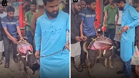 A viral video from Bangladesh shows a man filling petrol in a tank tied to a dog’s back.