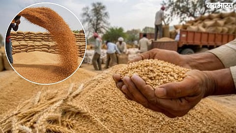 Wardha district targets 4.18 lakh hectares for Kharif sowing. Agri Dept demands 87,184 quintals of seeds and 1.17 lakh MT fertilizer, with supply starting in May