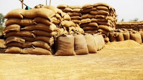 Wheat Exports: Central Government Approves Export of 2.5 Million Tonnes of Wheat; Total Figure Reaches 5 Million Metric Tonnes