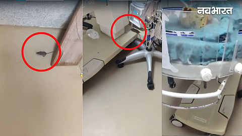bhopal aiims rat video