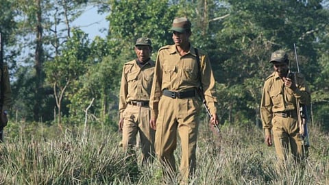 UPSSSC has announced 708 Forest Guard vacancies, with applications starting from June 30, 2026.