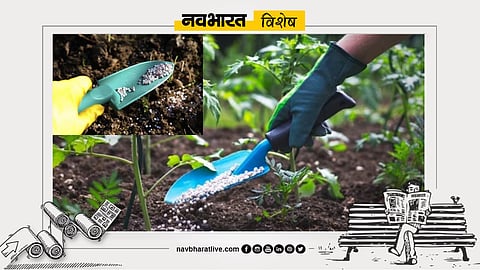 Navbharat Special: Fertilizer Crisis Deepens Due to Hormuz Blockade—Fertilizers Sourced Exclusively from Gulf Nations