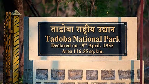 HC Takes Strict Stance on Mining in Nagpur-Tadoba Region; Project Halted Following Suo Motu Cognizance; Approval Cannot Be Reinstated Without Court's Permission.