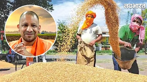UP Farmers Get Major Relief: Can Sell Wheat at Government Centers Without Online Registration Process
