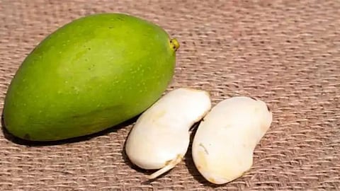 Aam Ki Guthli Se Fayda