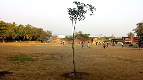 Andheri Public Ground Misuse BMC Action Issue
