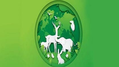 akola biodiversity day sparrow nest gift
