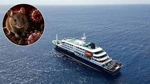 Hantavirus Enters Britain! WHO Issues Major Statement After Infections Detected in Two People Find Out What They Said.
