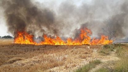 telhara hivarhed farm fire 18 acre crop damage arrest 500 rupees